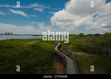 Vue panoramique depuis la tour d'observation des lignes directrices d'un sentier naturel en bois en zig zag sur la droite dans Green Trees. Soleil brillant avec ciel bleu et Banque D'Images