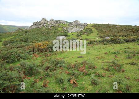 Vue de début d'automne des rochers de Bonehill, près de Widecombe, Dartmoor, Devon, Angleterre, ROYAUME-UNI Banque D'Images