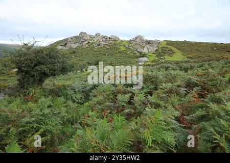 Vue de début d'automne des rochers de Bonehill, près de Widecombe, Dartmoor, Devon, Angleterre, ROYAUME-UNI Banque D'Images