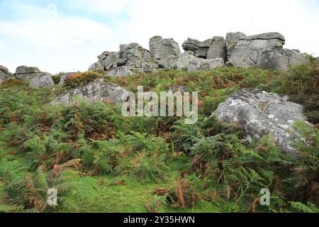 Vue de début d'automne des rochers de Bonehill, près de Widecombe, Dartmoor, Devon, Angleterre, ROYAUME-UNI Banque D'Images