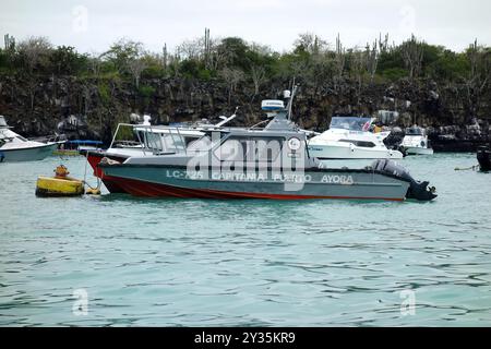 Bateaux, port, Puerto Ayora ville, Santa Cruz Island, Galápagos, Equateur, Amérique du Sud Banque D'Images