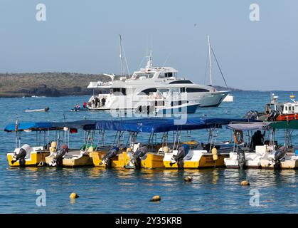 Bateaux, port, Puerto Ayora ville, Santa Cruz Island, Galápagos, Equateur, Amérique du Sud Banque D'Images