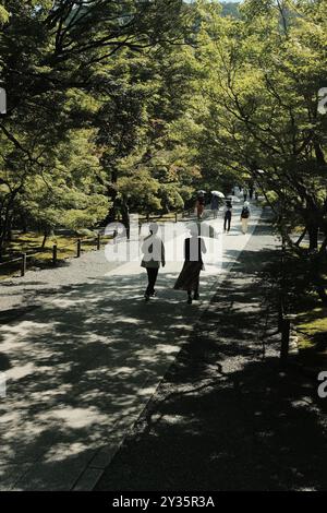 Des plans francs marchant à travers le Japon capturant l'atmosphère relaxante dans une jungle de béton. Banque D'Images