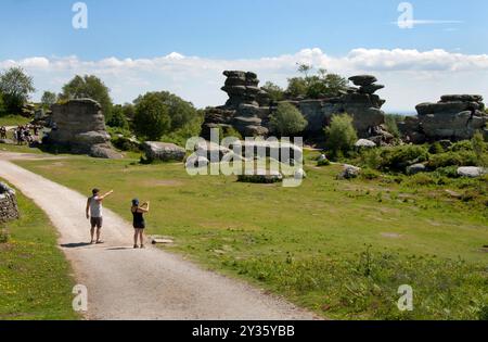 Brimham Rocks, The surprise, Brimham Moor, Summerbridge, Harrogate, Nidderdale, Yorkshire, Angleterre Banque D'Images