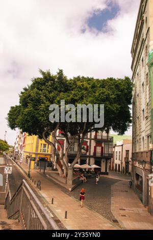 Gran Canaria, Espagne, Îles Canaries, Las Palmas - 22 juillet 2024. Un café de rue à la Vegueta, comme la vieille ville historique de Las Palmas de Gran Canaria est Banque D'Images