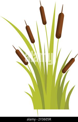 Bush de cattail avec de longues feuilles poussant dans le marais, étang ou lac Illustration de Vecteur