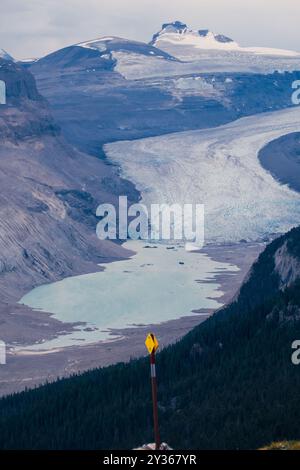 Glacier Saskatchewan et le magnifique mont Athabasca vus du sommet de la crête Parker, dans le parc national Banff Banque D'Images