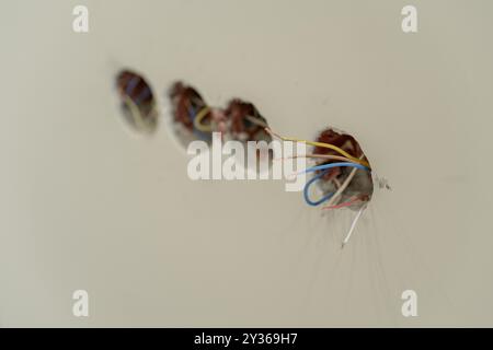 Électricien connecte des fils colorés dans des boîtes électriques dans le cadre de travaux de rénovation domiciliaire sur les murs intérieurs Banque D'Images