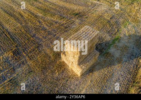 alpagas de paille de blé dans un champ fauché, vue aérienne avec drone. Concept travaux agricoles Banque D'Images