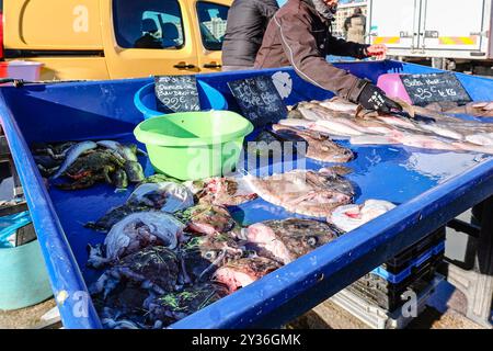 Marseille, France - 2 décembre 2023 : marché aux poissons dans le vieux port de Marseille par beau temps. Poisson frais, palourdes, fruits de mer à vendre, Marseille, Provence, France Banque D'Images