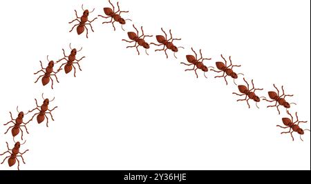 Colonie de fourmis marche en ligne sur fond blanc Illustration de Vecteur