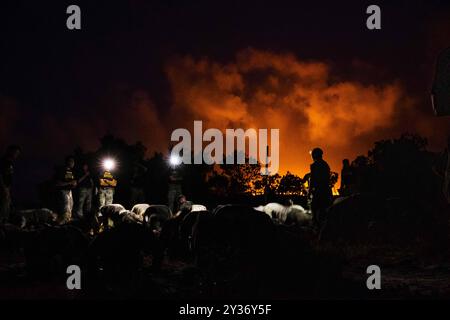 Kenya. 23 août 2024. Les soldats américains de la 56th Stryker Brigade combat Team, déployés en Afrique sous le nom de Task Force Paxton, testent leurs compétences et leur état de préparation lors d’un événement du programme d’évaluation des Rangers/sapeurs au Kenya, le 23 août 2024. Le RSAP aide la Garde nationale de Pennsylvanie à déterminer les candidats viables à envoyer à l'école de Ranger ou de Sapper. (Image de crédit : © Jonathan Campbell/U.S. Army/ZUMA Press Wire) USAGE ÉDITORIAL UNIQUEMENT ! Non destiné à UN USAGE commercial ! Banque D'Images