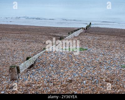 Septembre 2024 - Groins de mer sur la plage de Worthing, West Sussex, Angleterre, Royaume-Uni. Banque D'Images