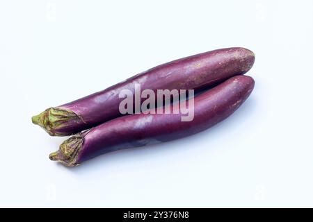 Deux aubergines violettes ou aubergines isolées sur fond blanc Banque D'Images