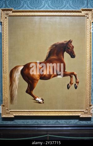 Whistlejacket, une peinture de George Stubbs. Whistlejacket, le deuxième cheval de course du marquis de Rockingham, est présenté en grandeur réelle au Nati Banque D'Images