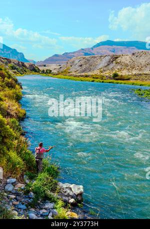 Le pêcheur à la mouche pêche l'eau. La rivière Shoshone coule rapidement à travers Cody, Wyoming, l'eau forme de légers rapides contre les rochers et le rivage herbeux. Banque D'Images