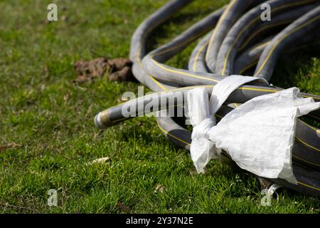 tuyau d'arrosage posé sur l'herbe verte Banque D'Images