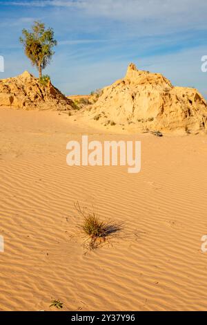 Formations sur les murs des dunes de Chine dans le parc national de Mungo Banque D'Images