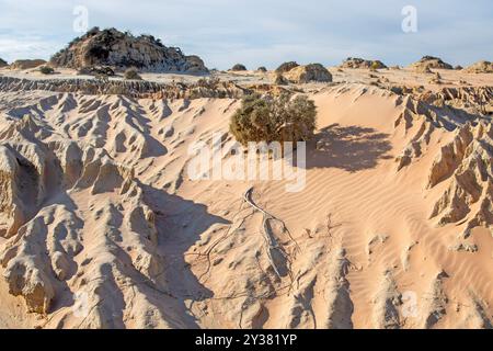 Formations sur les murs des dunes de Chine dans le parc national de Mungo Banque D'Images