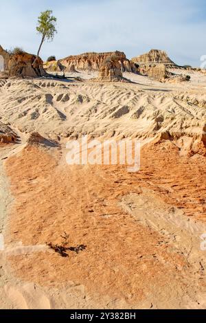 Formations sur les murs des dunes de Chine dans le parc national de Mungo Banque D'Images