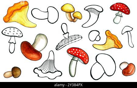 Ensemble de différents types de champignons. Dessin de contour noir ou avec remplissage aquarelle. Différentes formes et tailles. Chaotiquement situé sur un dos blanc Banque D'Images