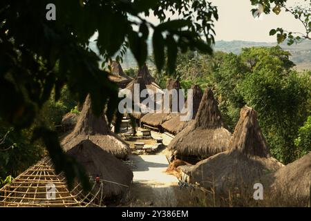 Maisons traditionnelles sumpanaises dans le village traditionnel de Praijing à Tebara, Waikabubak, Sumba Ouest, Nusa Tenggara est, Indonésie. Banque D'Images