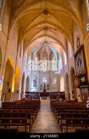 Intérieur de la cathédrale de Minorque, à Ciutadella (Minorque, Îles Baléares, Espagne) ESP : Interior de la Catedral de Menorca, en Ciutadella (Minorque) Banque D'Images