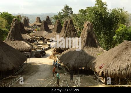 Maisons vernaculaires sumbanaises dans le village traditionnel de Praijing à Tebara, Waikabubak, Sumba occidental, Nusa Tenggara, Indonésie. Lors d’une réunion de l’Assemblée générale en décembre 2023, l’Organisation des Nations Unies (ONU) a exprimé ses préoccupations au sujet du détournement et de l’utilisation abusive du patrimoine culturel des peuples autochtones. Les Nations Unies réaffirment que les peuples autochtones ont le droit de maintenir, contrôler, protéger et développer leur patrimoine culturel, leurs savoirs traditionnels et leurs expressions culturelles traditionnelles. Banque D'Images