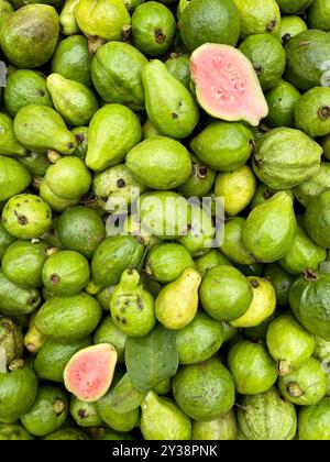 Pile de goyave biologique dans un marché de fruits. Cette photo a été prise à Chittagong, Bangladesh. Banque D'Images