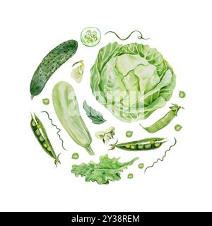 Set de légumes. Chou vert, courgettes, concombre, pois, laitue. Illustration aquarelle. Cartes, étiquettes, paquets, bannières, récolte, journée végétarienne. Banque D'Images