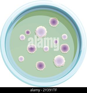 Boîte de Pétri contenant des colonies de bactéries poussant sur un milieu gélosé, utilisée en recherche scientifique Illustration de Vecteur
