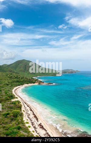 Plage bordée de palmiers lavée par la mer des Caraïbes Banque D'Images