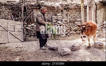 Un fermier du village de Hushe nourrit sa vache Banque D'Images