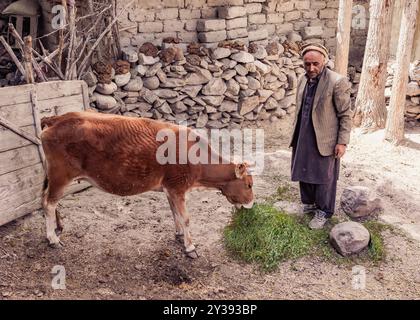 Un fermier du village de Hushe nourrit sa vache Banque D'Images