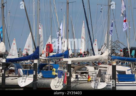 Blick am Dienstag 09.07.2024 im Ostseebad Warnemünde, ein Ortsteil der Hanse- und Universitätsstadt Rostock, auf den örtlichen Yachthafen während der Warnemünder Woche. BEI dem Event vom 06. bis 14.Juli werden hochkarätige Segelwettbewerbe ausgetragen. Dazu gibt es ein buntes Rahmenprogramm an Land. Außerdem können die Besucher zwischen dem Hotel Neptun und dem Teepott entlang einer Bummelmeile verschiedene Köstlichkeiten genießen oder eine wenig shoppen. Die Warnemünder findet in diesem Jahr zum 86. Etat mal. Dennoch ist davon auszugehen, dass auch BEI der aktuellen Ausgabe wieder Tausende M Banque D'Images