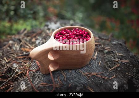 Airelles rouges fraîches dans une tasse en bois dans la forêt en Finlande Banque D'Images