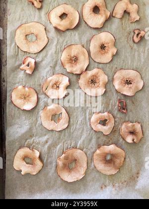 Tranches de pommes séchées sur une plaque à pâtisserie parchemin Banque D'Images