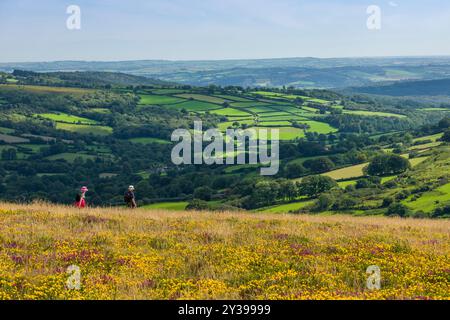 Deux marcheurs sur le Two Moors Way à Hamel Down avec la vallée de Widecombe au-delà dans le parc national de Dartmoor, Devon, Angleterre. Banque D'Images