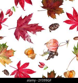 Aquarelle peinte à la main feuilles d'automne, Physalis, pommes de pin et motif sans couture des baies d'aubépine Banque D'Images