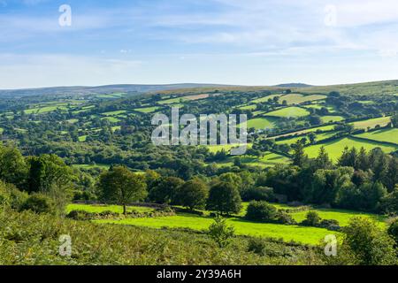 La vue sur la vallée de Widecombe depuis Chinkwell Tor près de Widecombe-in-the-Moor dans le parc national de Dartmoor, Devon, Angleterre. Banque D'Images