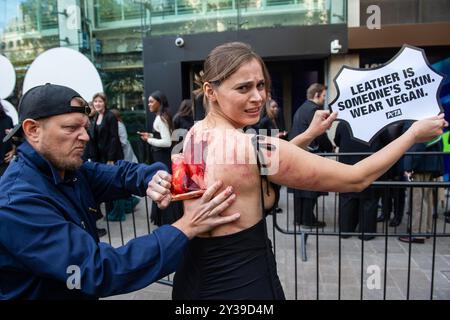 Londres, Angleterre, Royaume-Uni. 13 septembre 2024. Les supporters de PETA protestent contre l'utilisation du cuir en simulant l'expérience douloureuse d'être « écorché vivant » devant l'espace de spectacle NEWGEN du British Fashion Council pendant la Fashion week de Londres. La manifestation vise à sensibiliser aux souffrances causées par l’industrie du cuir et à promouvoir des alternatives durables et végétaliennes. (Crédit image : © Thomas Krych/ZUMA Press Wire) USAGE ÉDITORIAL SEULEMENT! Non destiné à UN USAGE commercial ! Banque D'Images