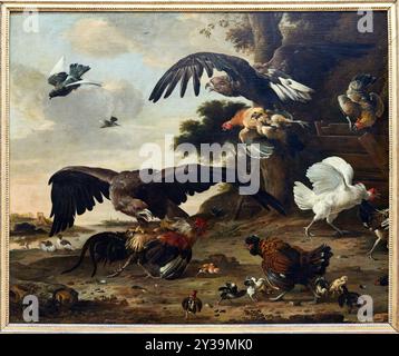 Eagles attaquant les poulets, 1673, Melchior de HONDECOETER, Utrecht (pays-Bas), 1636 - Amsterdam (pays-Bas), 1695, Musée du Louvre, Paris, France Banque D'Images