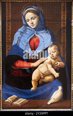 La Vierge à l'enfant avec une colombe, Tempera et huile sur panneau (peuplier), vers 1490, Piero di LORENZO, dit PIERO di COSIMO, Florence, vers 1462 - 1521, Mu Banque D'Images