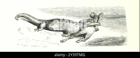 Attaque de crocodile un homme - image prise de la page 206 de 'Voyage aux Pyrénées ... Troisième édition illustraée par Gustave doré' Banque D'Images