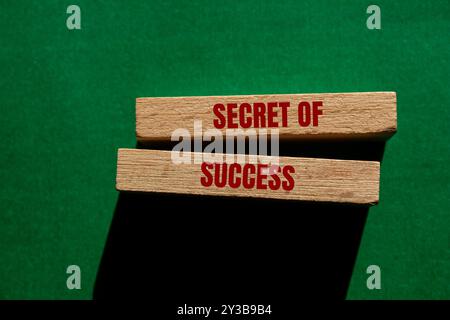 Secret du message de succès écrit sur des blocs de bois sur fond vert. Symbole du secret conceptuel du succès. Copier l'espace. Banque D'Images