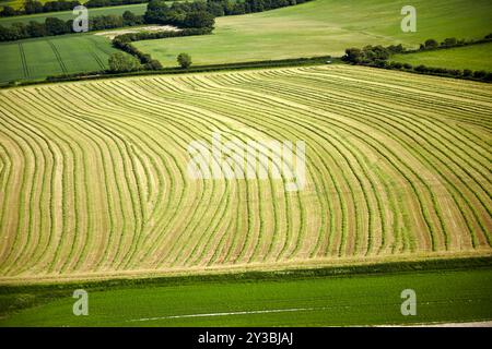 Photo aérienne montrant un champ agricole verdoyant avec des motifs courbes distincts, entouré d'arbres et de champs adjacents. Banque D'Images