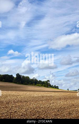Un paysage rural paisible avec un vaste champ fraîchement labouré sous un ciel bleu vibrant avec des nuages blancs moelleux. Banque D'Images