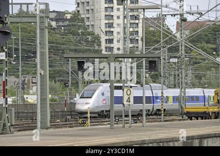 Train à grande vitesse français (TGV Stuttgart-Paris), gare principale, Stuttgart, Bade-Wuerttemberg, Allemagne, Europe Banque D'Images