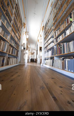 Couloir dans une bibliothèque avec deux étagères hautes et un plancher en bois, qui a un effet apaisant, Weimar, Allemagne, Europe Banque D'Images