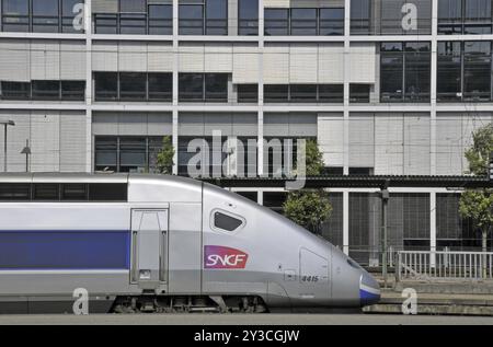 Train à grande vitesse français (TGV Stuttgart-Paris), gare principale, Stuttgart, Bade-Wuerttemberg, Allemagne, Europe Banque D'Images